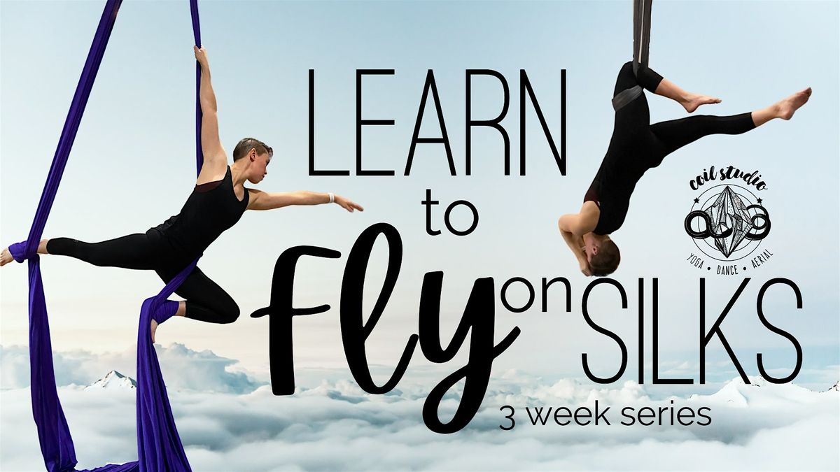 Learn to Fly on Silks
