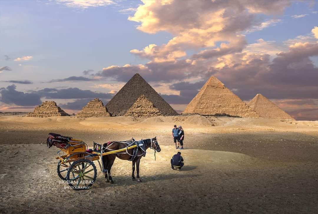 tour in Egypt 