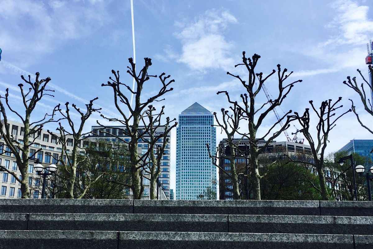 Guided walk of Canary Wharf and Limehouse