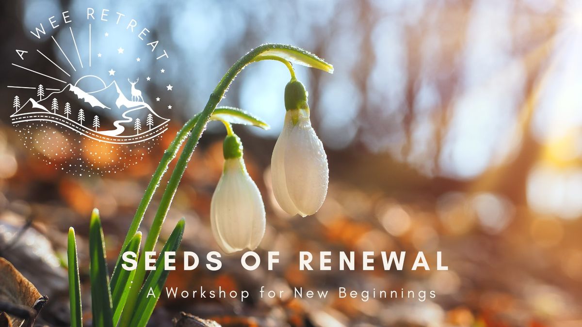 Seeds of Renewal - A One Day Retreat for New Beginnings