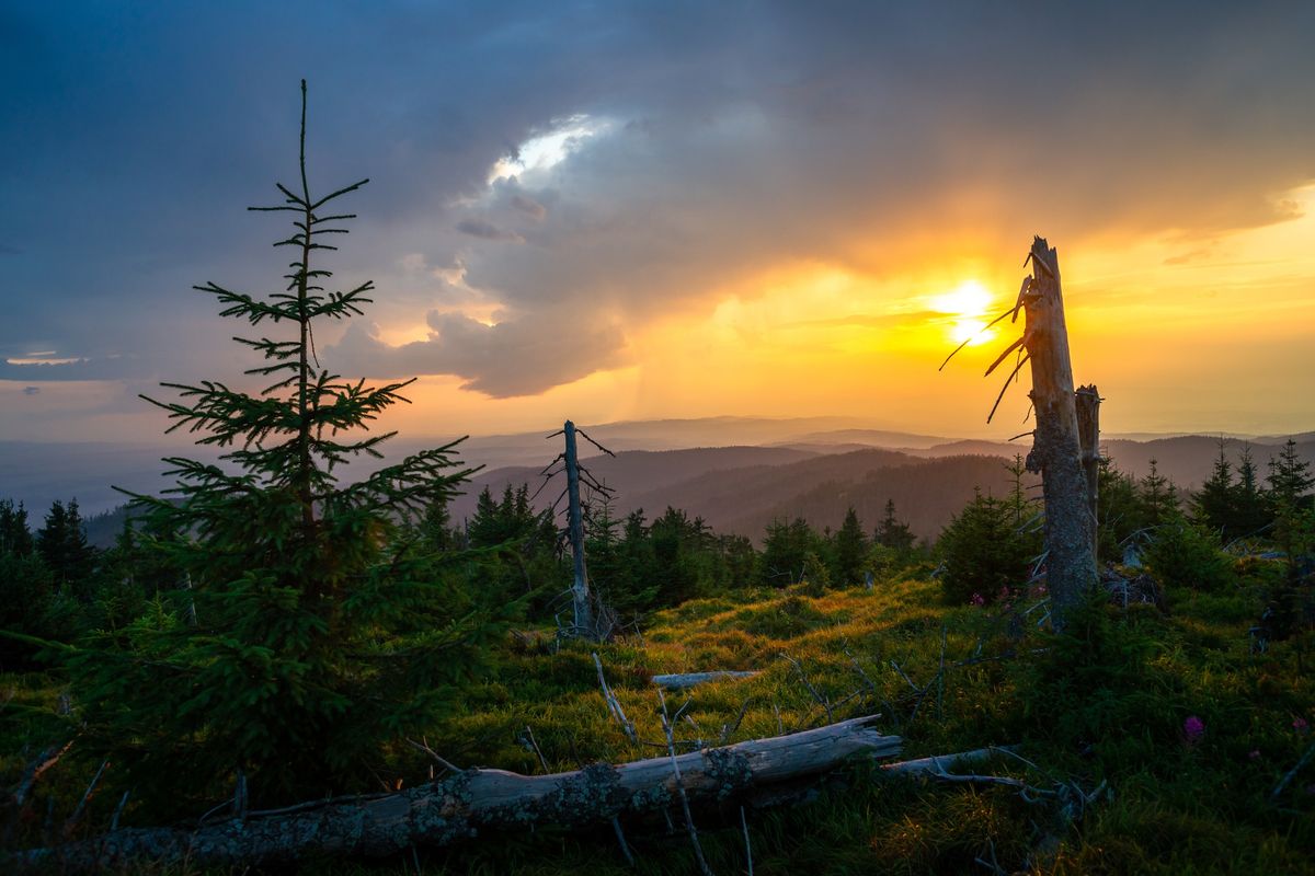 Listopadowy Treeking w Gorcach z Noclegiem w Schronisku na Turbaczu