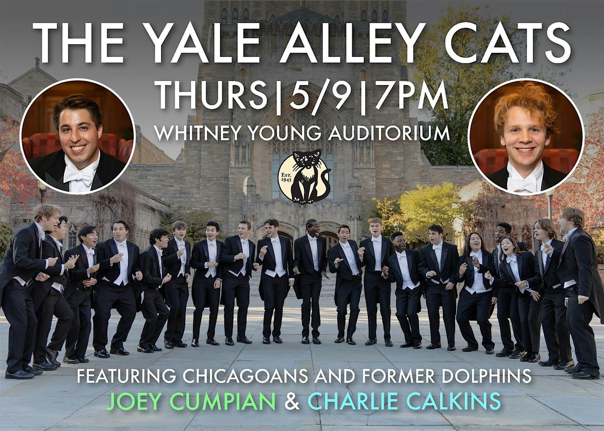 The Yale Alley Cats in Chicago!