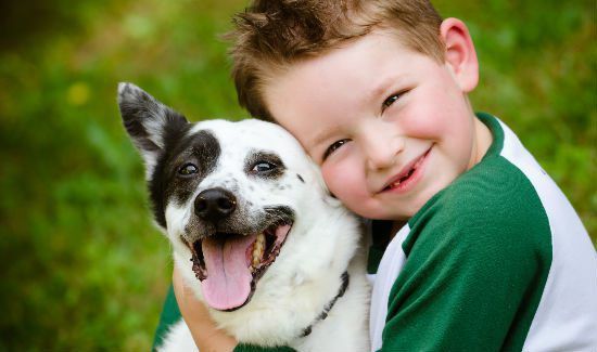 Kids and Canines Summer Camp