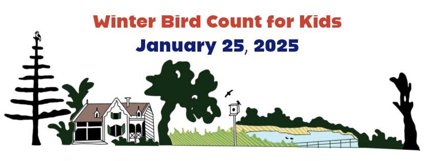 Winter Bird Count for Kids