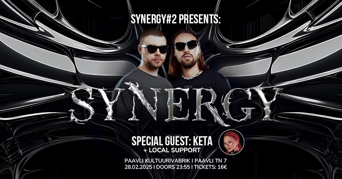 SYNERGY#2 \u2022 28.02 \u2022 Paavli Kultuurivabrik