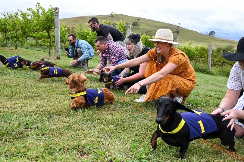 2022 Werriwa Wiener Dash