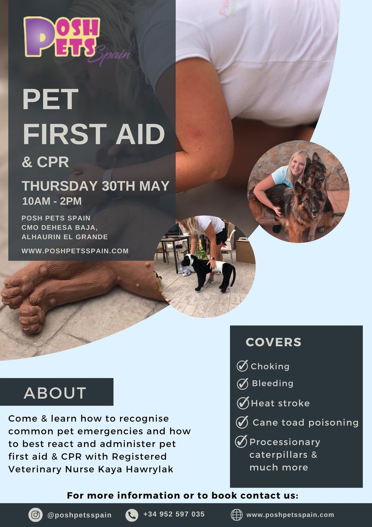 Pet First Aid & CPR