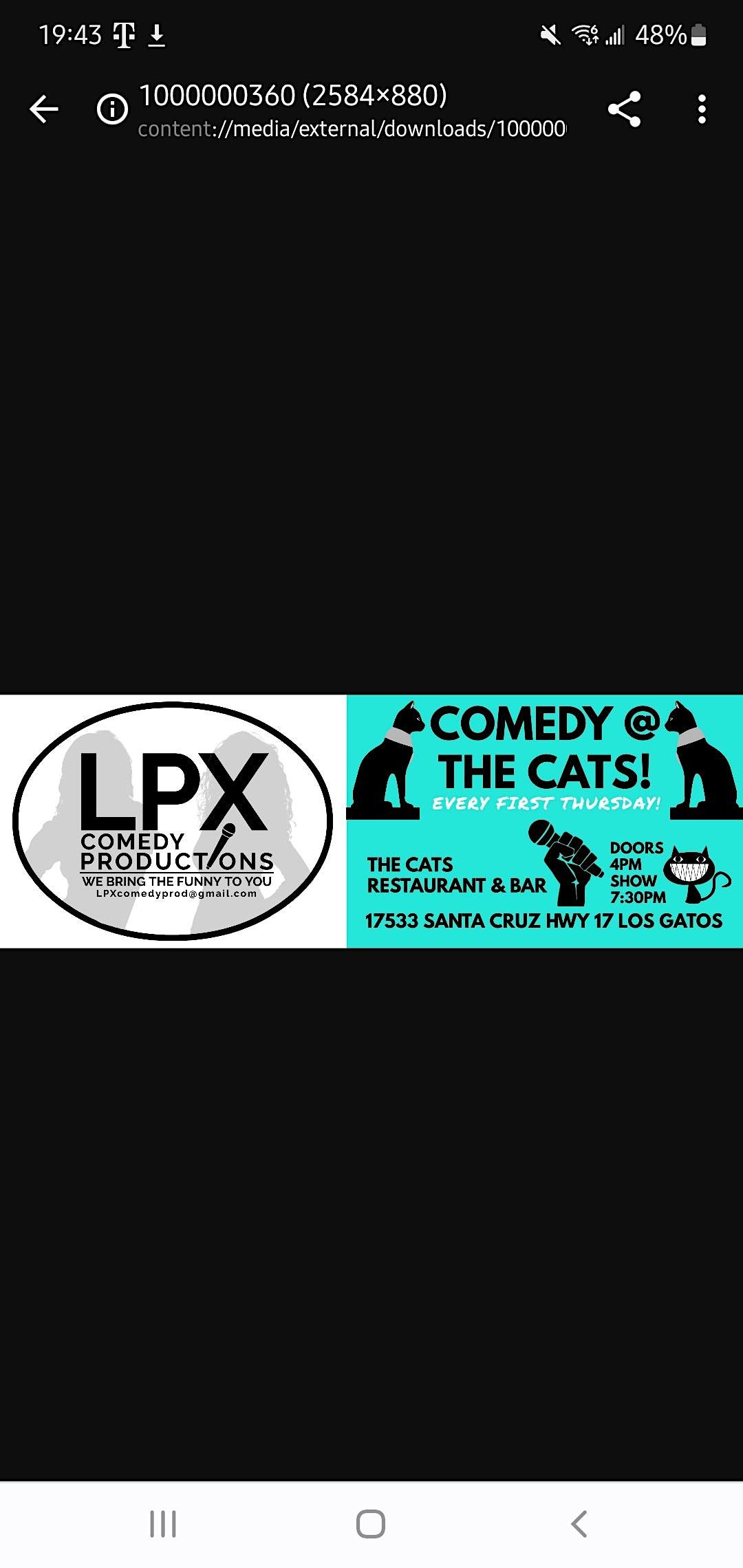 Comedy at The Cats