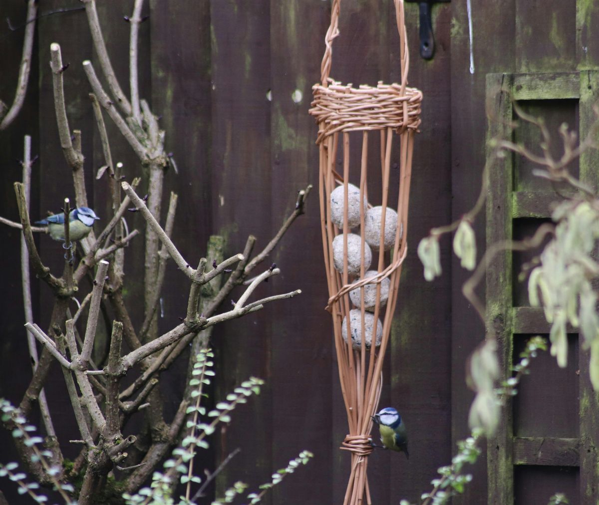 Northants Nature Girls - Willow and Fat Ball Bird Feeders