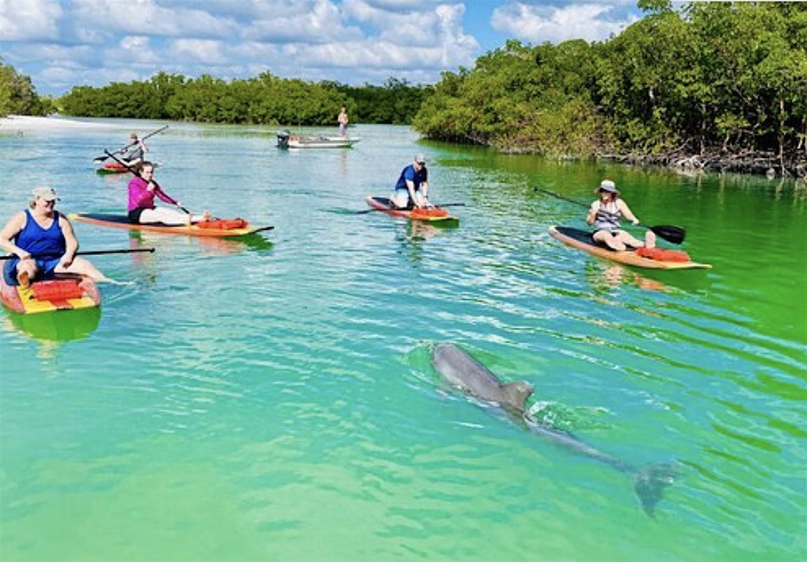 Dolphin and Manatee Adventure Tour of Fort Myers - JMC Getaways