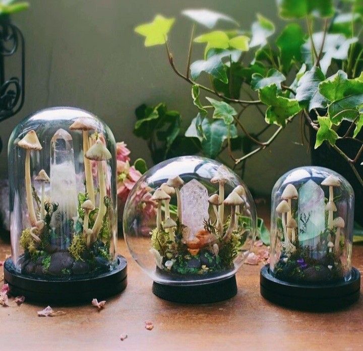 Making Crystal Terrariums \ud83c\udf3f\ud83c\udf44\u2728 Witchy Wednesday