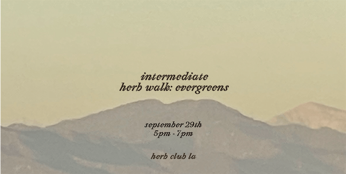 Intermediate Herb Walk: Evergreens