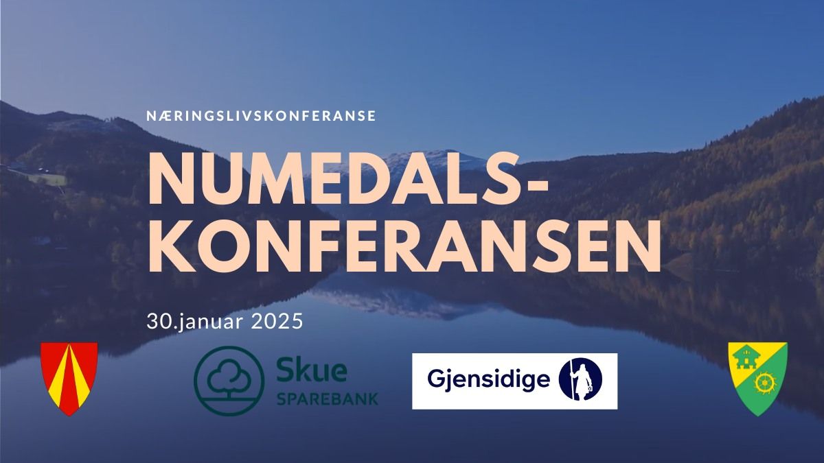 Numedalskonferansen 2025