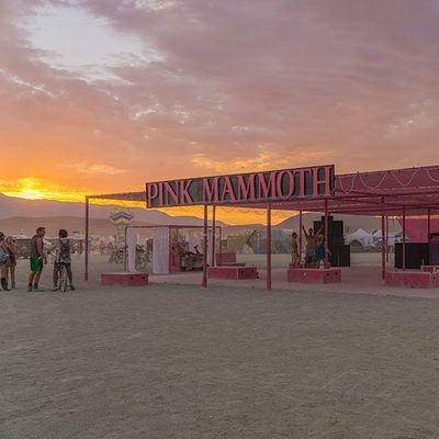 Pink Mammoth