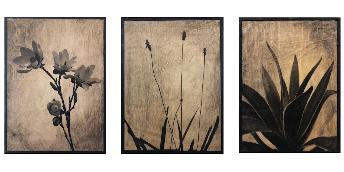 Encaustic Photo Transfer Wax Art Hampton Inn & Suites