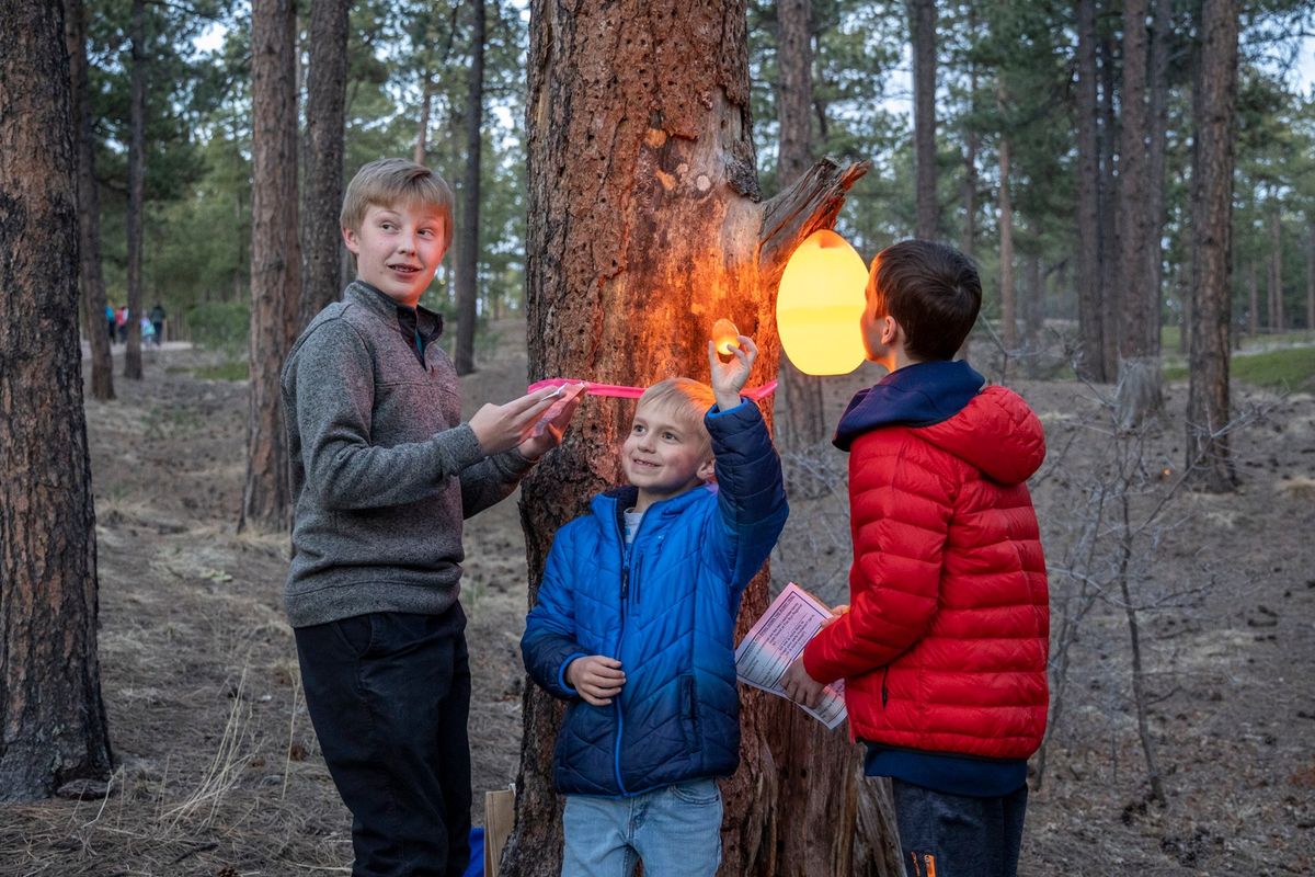 Nighttime EGG-stravaganza- Fox Run Regional Park 