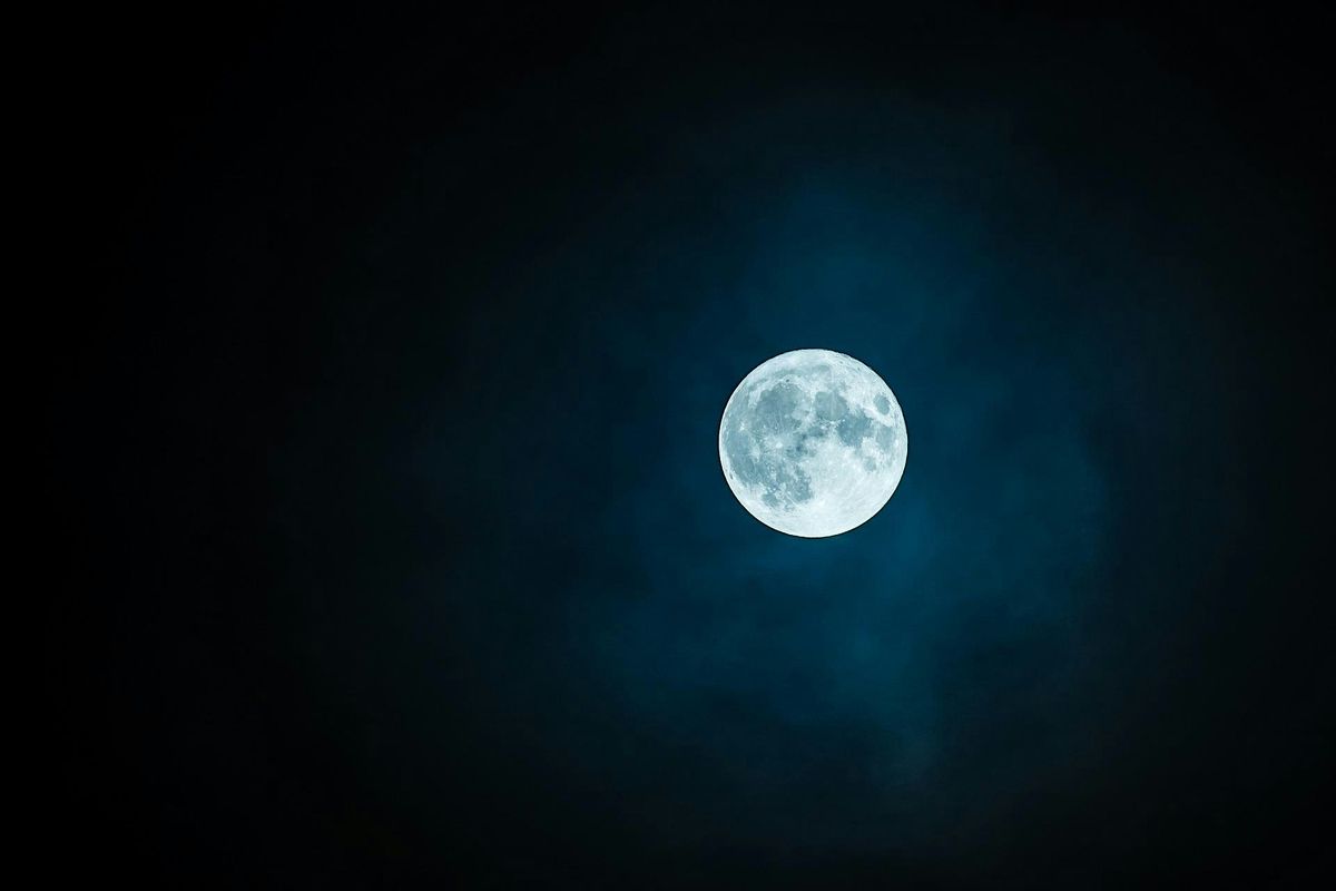 Blue Moon Night Walk
