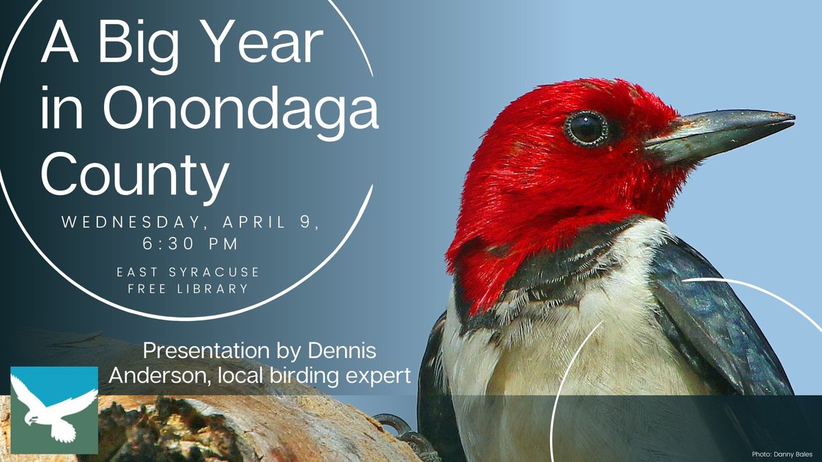 A Big Year in Onondaga County Program