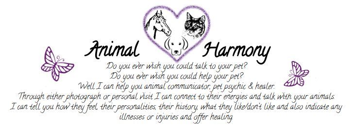 Animal Communication Workshop