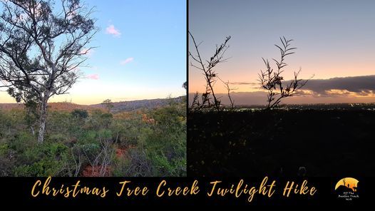 Christmas Tree Creek Twilight Hike