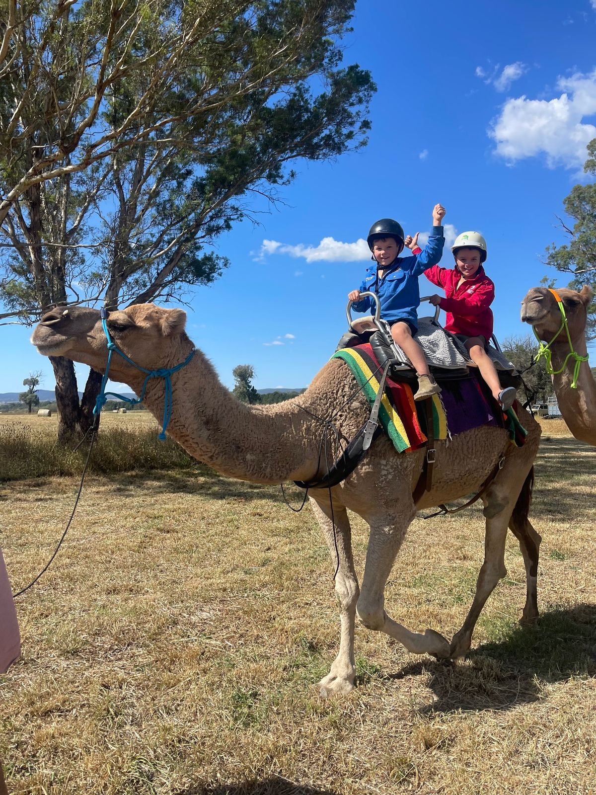 Mothers Day Camel Rides 