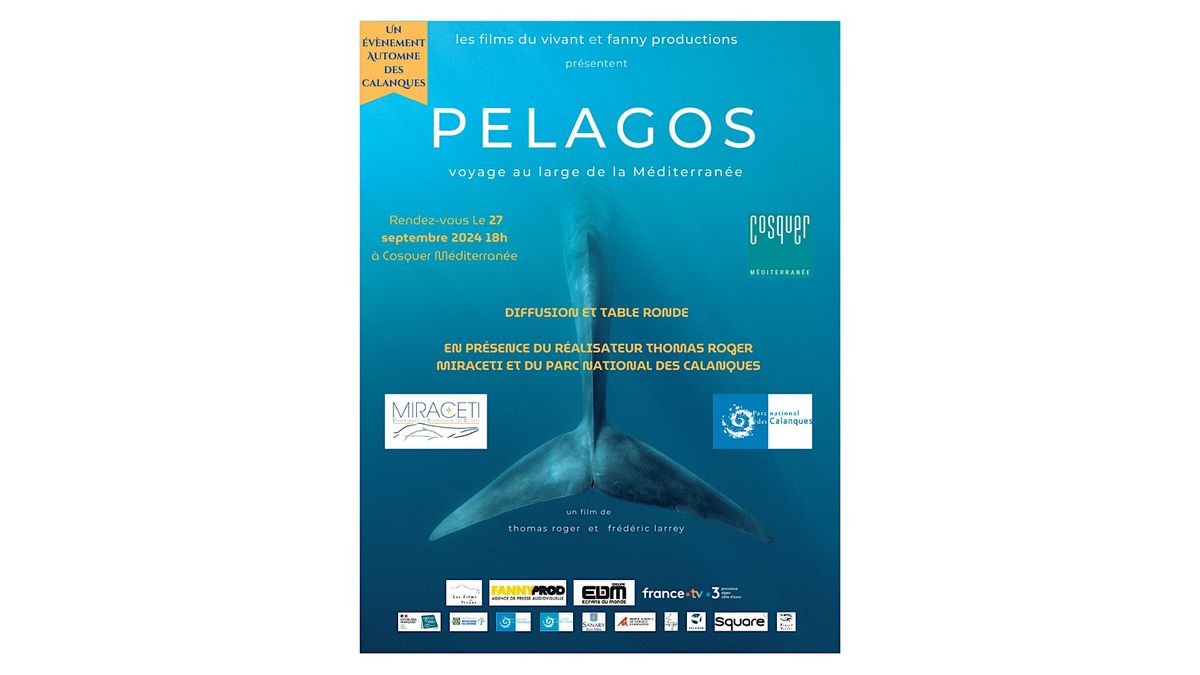 Projection du film PELAGOS \u00e0 la grotte Cosquer en pr\u00e9sence du r\u00e9alisateur