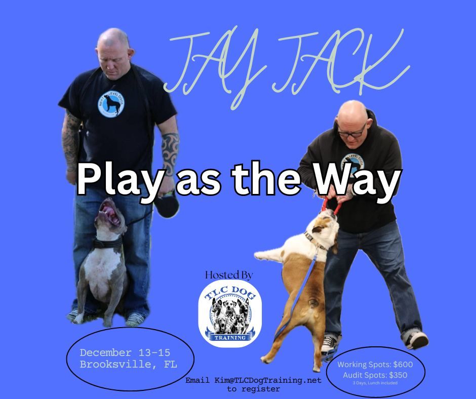 Jay Jack's Play as the Way Seminar