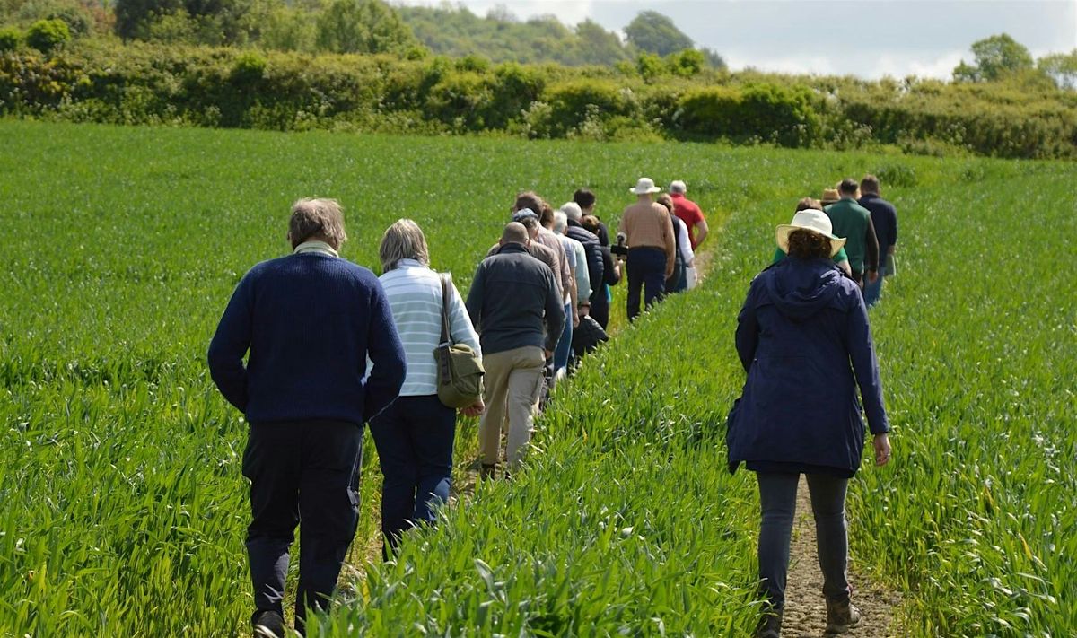 SFI Pilot - Learning event Kent