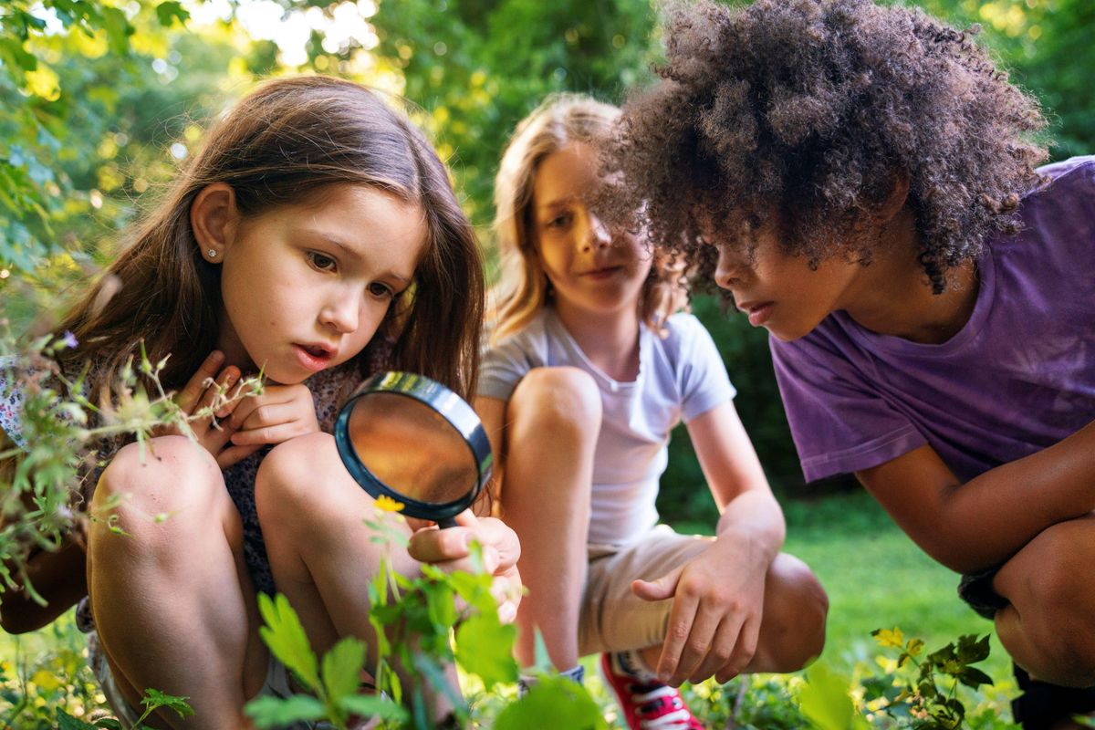 Nene Wetlands Forest School for Home Schoolers 17th October 2024