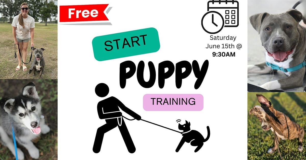 Puppy Training (FREE Dog Training Class)