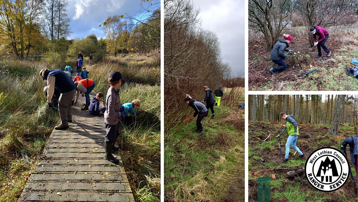 Conservation Volunteers - Beecraigs Country Park