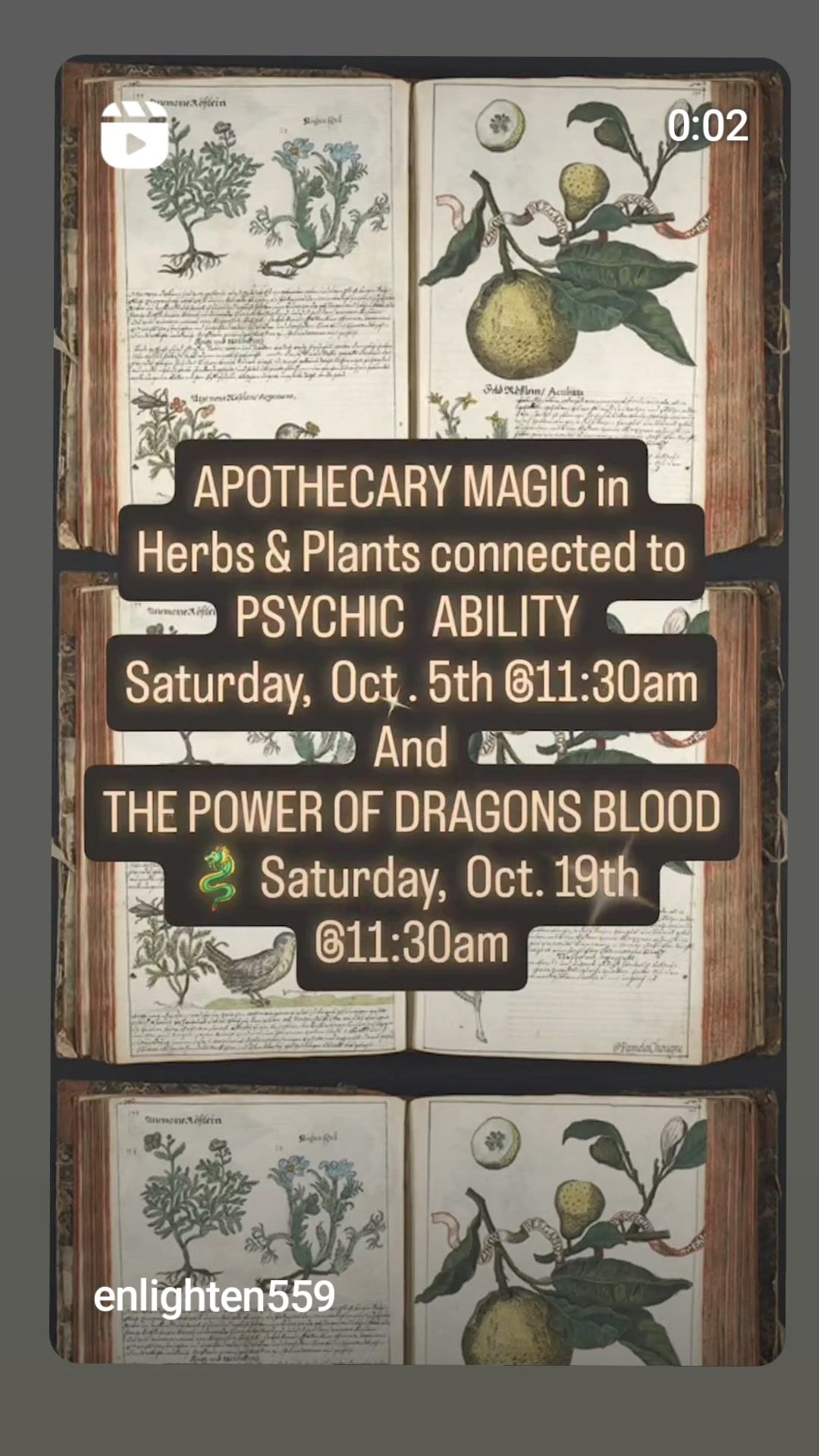 Apothecary Magic at Enlightenment 