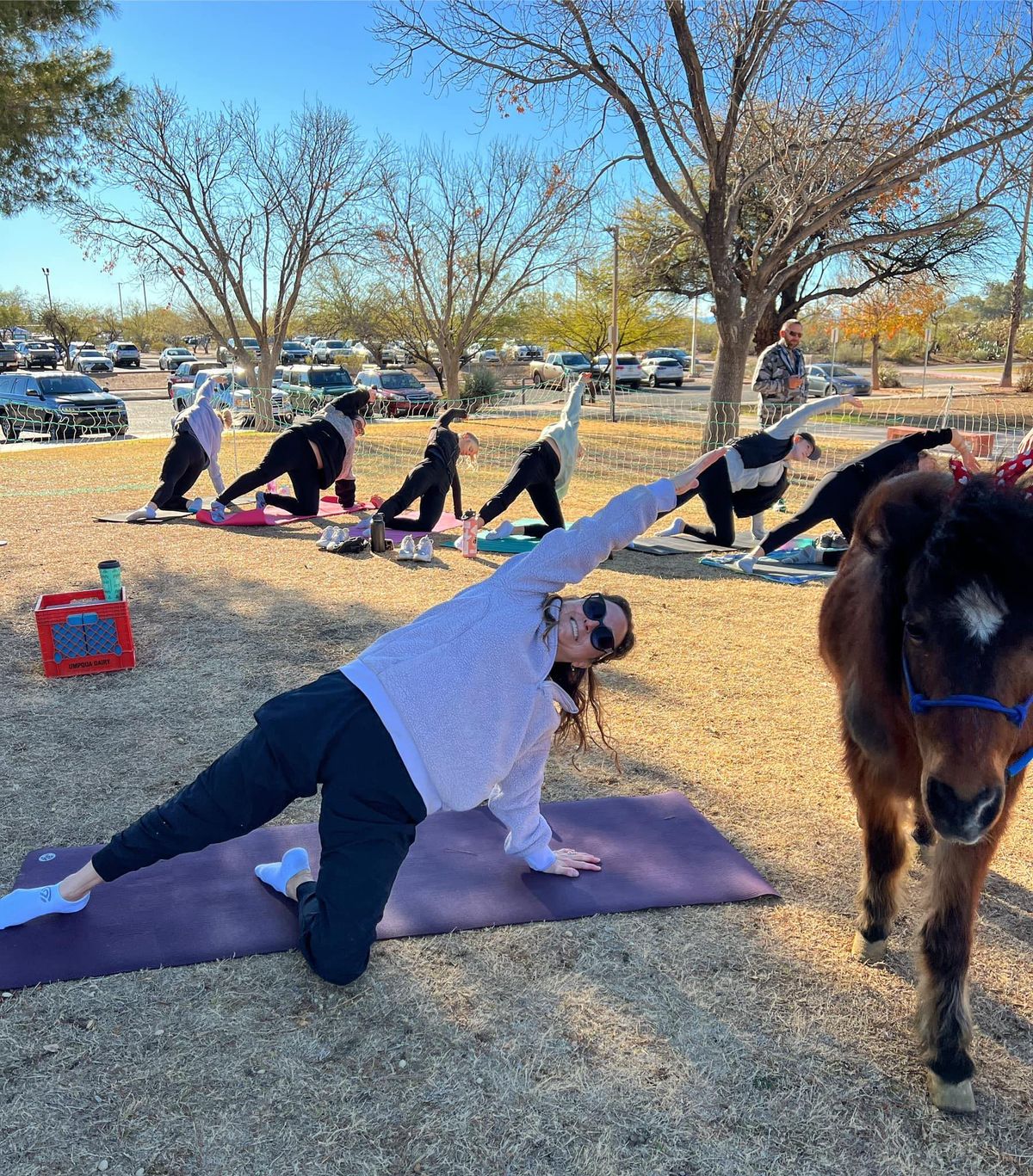 Goat Yoga with Goats of Tucson at Udall Park 9am