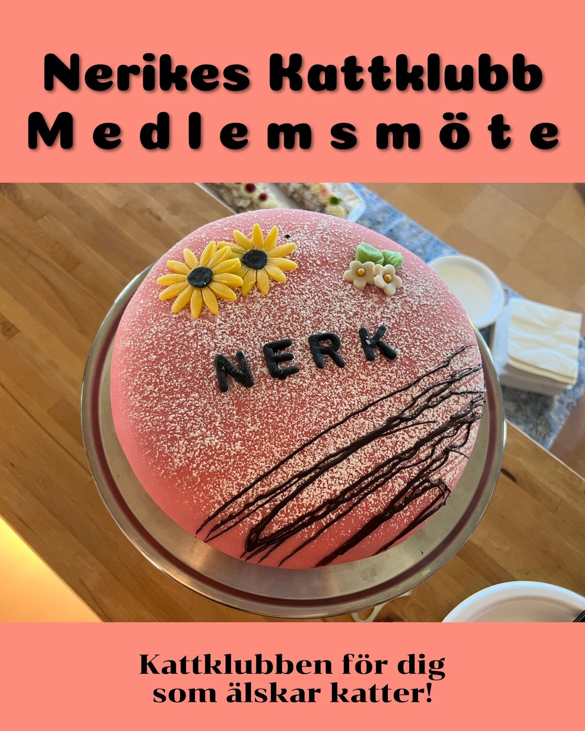 NERK | V\u00e4lkommen till medlemsm\u00f6te 4\/3