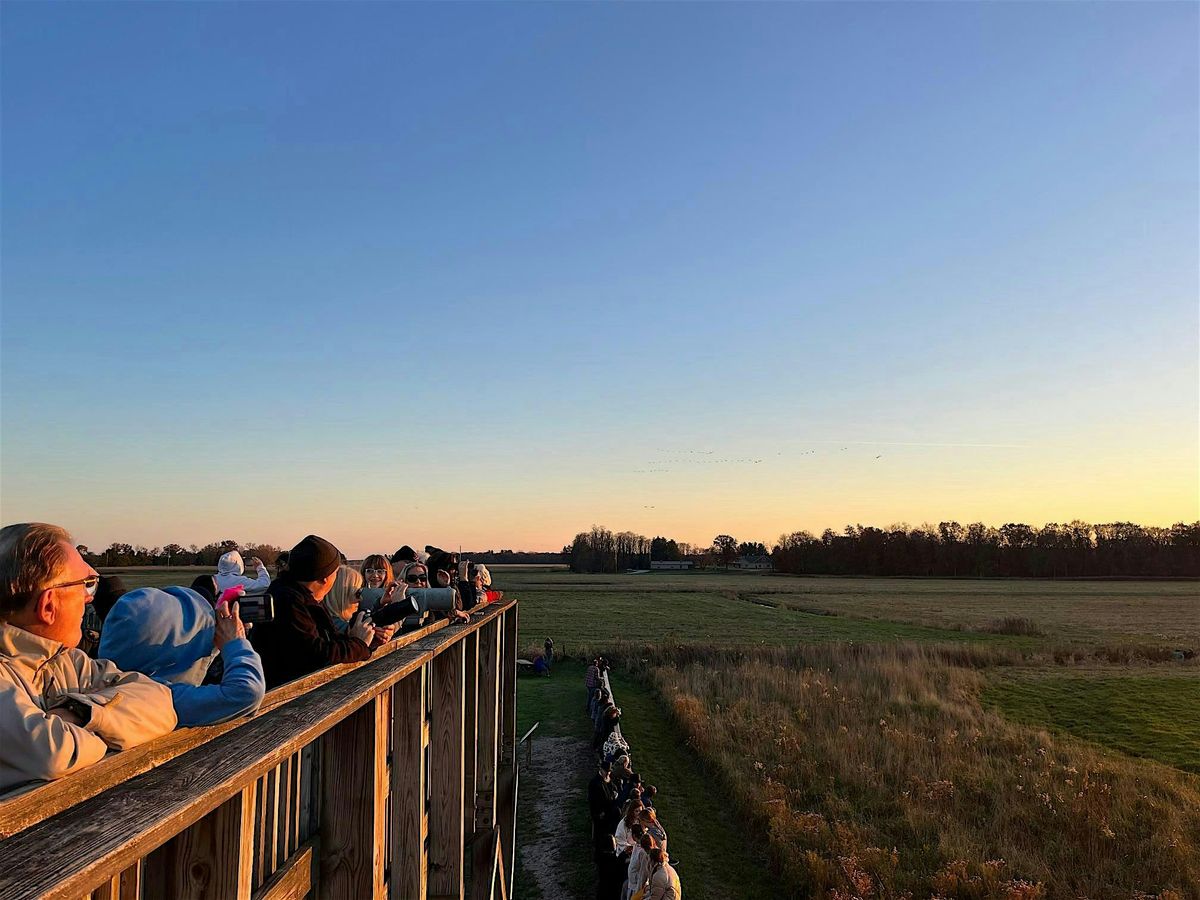 Sandhill Cranes at Sunset: A bus trip to Jasper Pulaski.