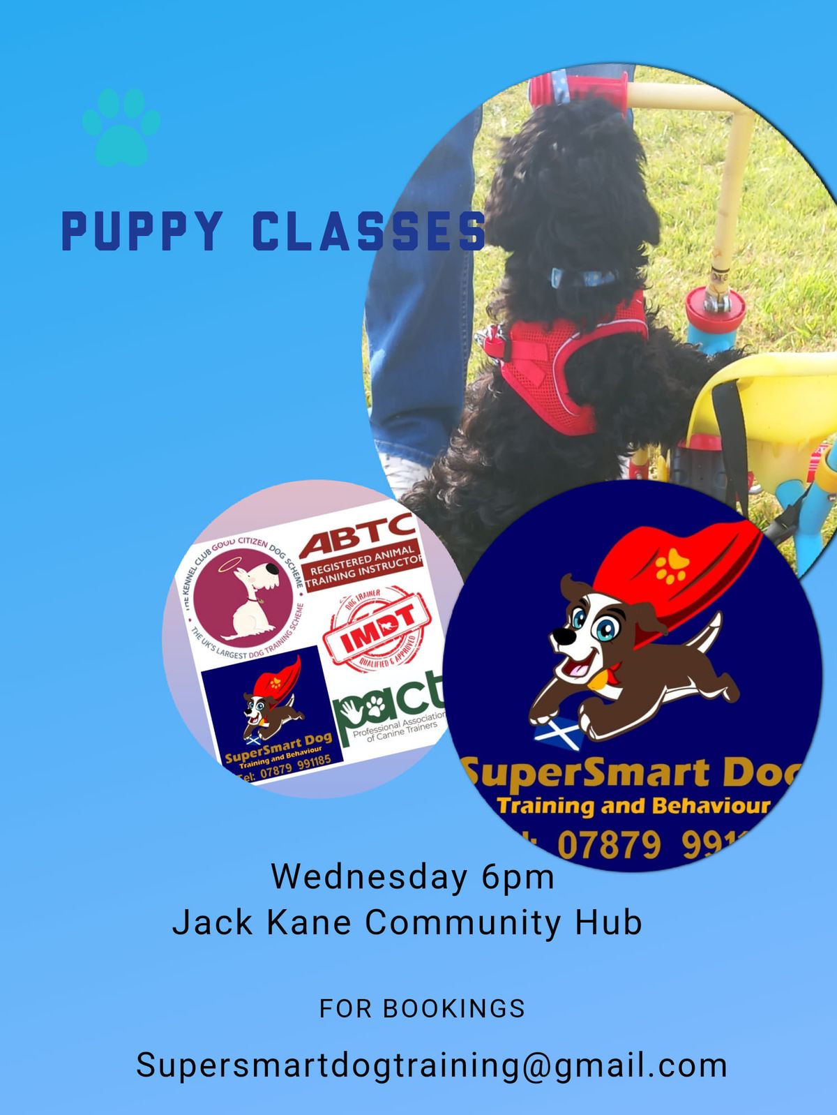 Puppy's Lifeskills Classes May Start