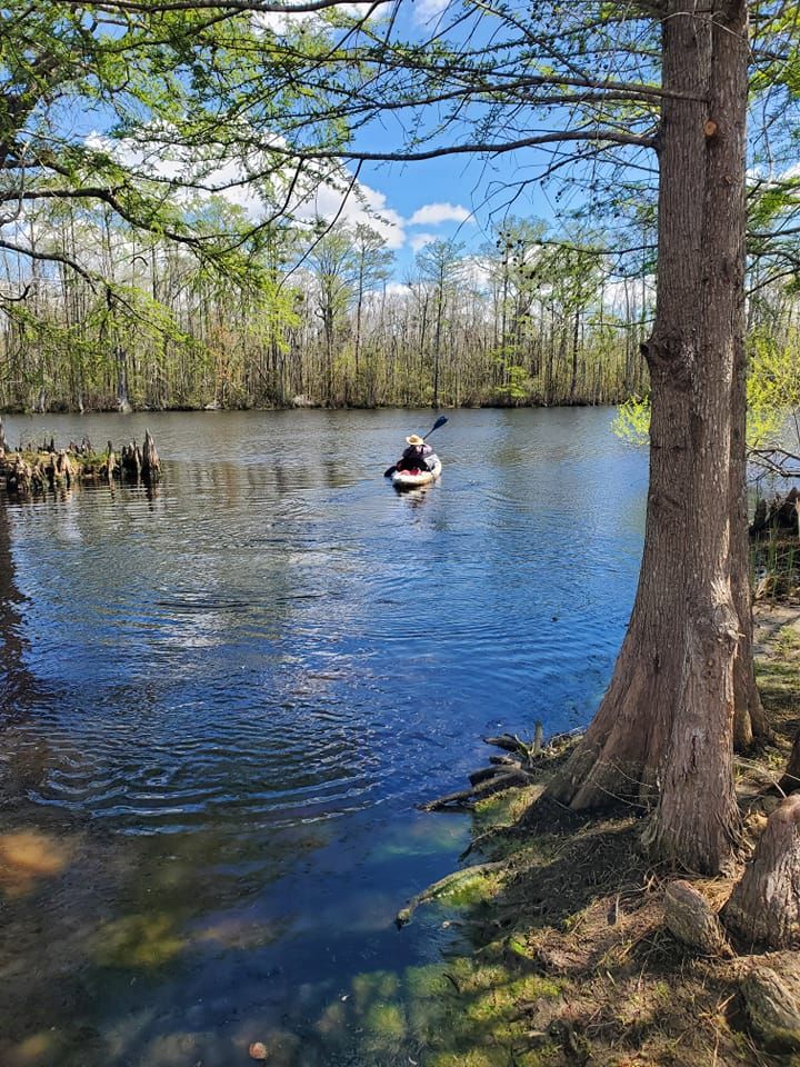 Kayak & Paddleboard Rentals 