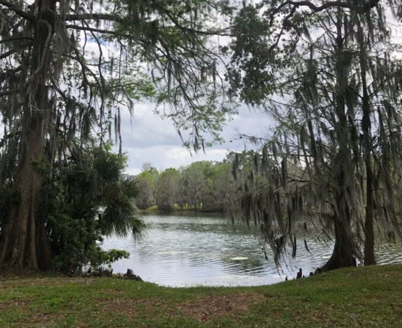 Community Lake Cleanup