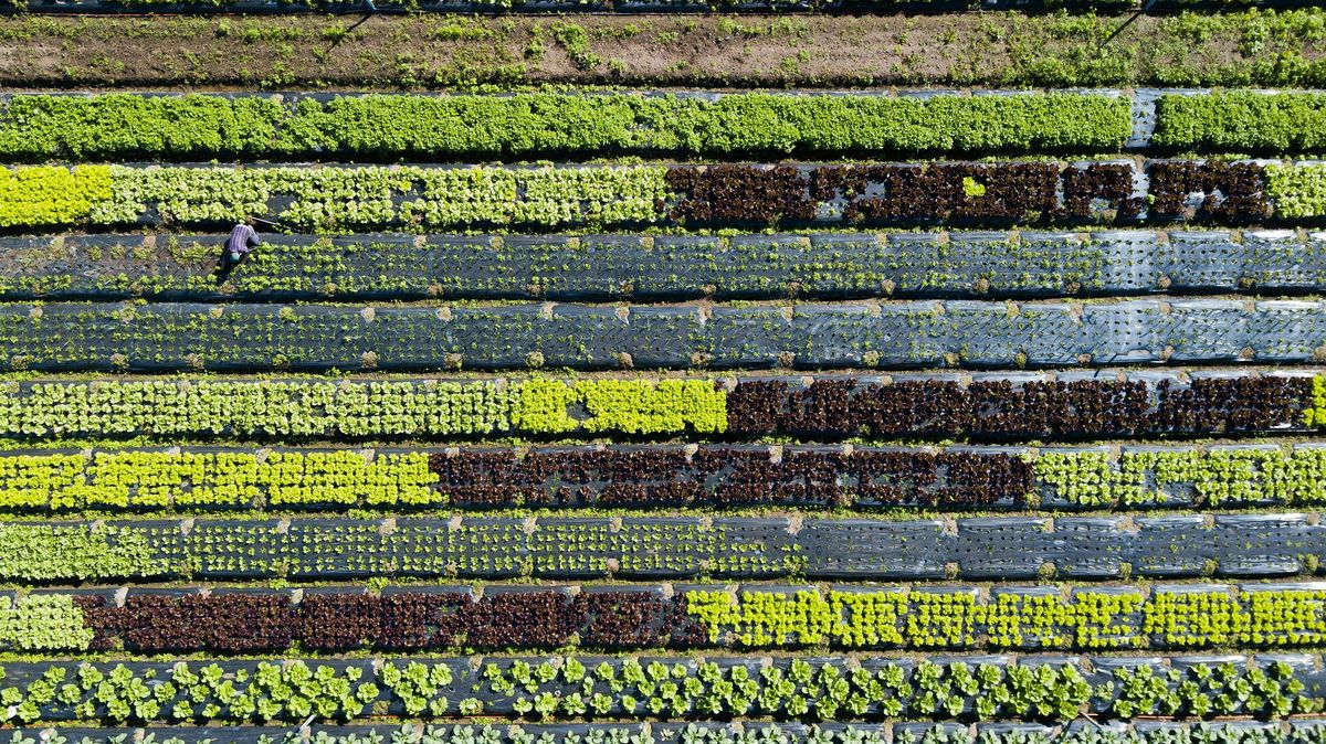 Conferencia I Los Desaf\u00edos de la Alimentaci\u00f3n del Futuro