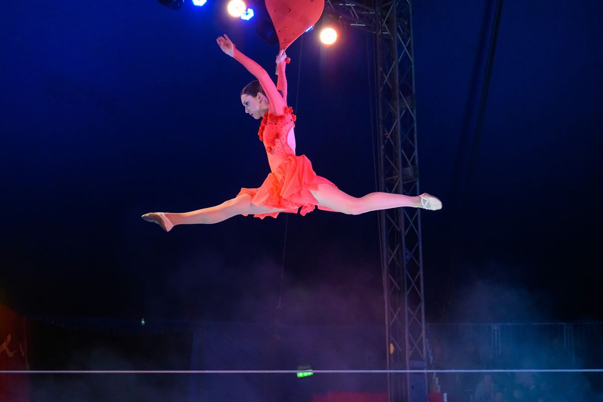 Zippos Circus \u2013 Palmers Green 19\u201323 September 2024 (Promo code FPG45 saves up to 30% off tickets!)