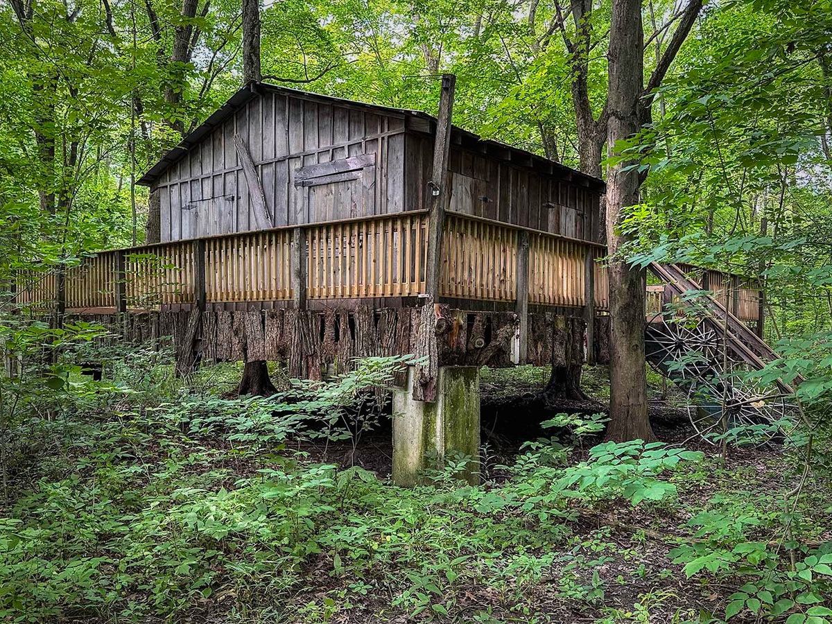 PORT COLBORNE CAMERA CLUB SEPT. 19, 2024 OUTING - HEARTLAND FOREST