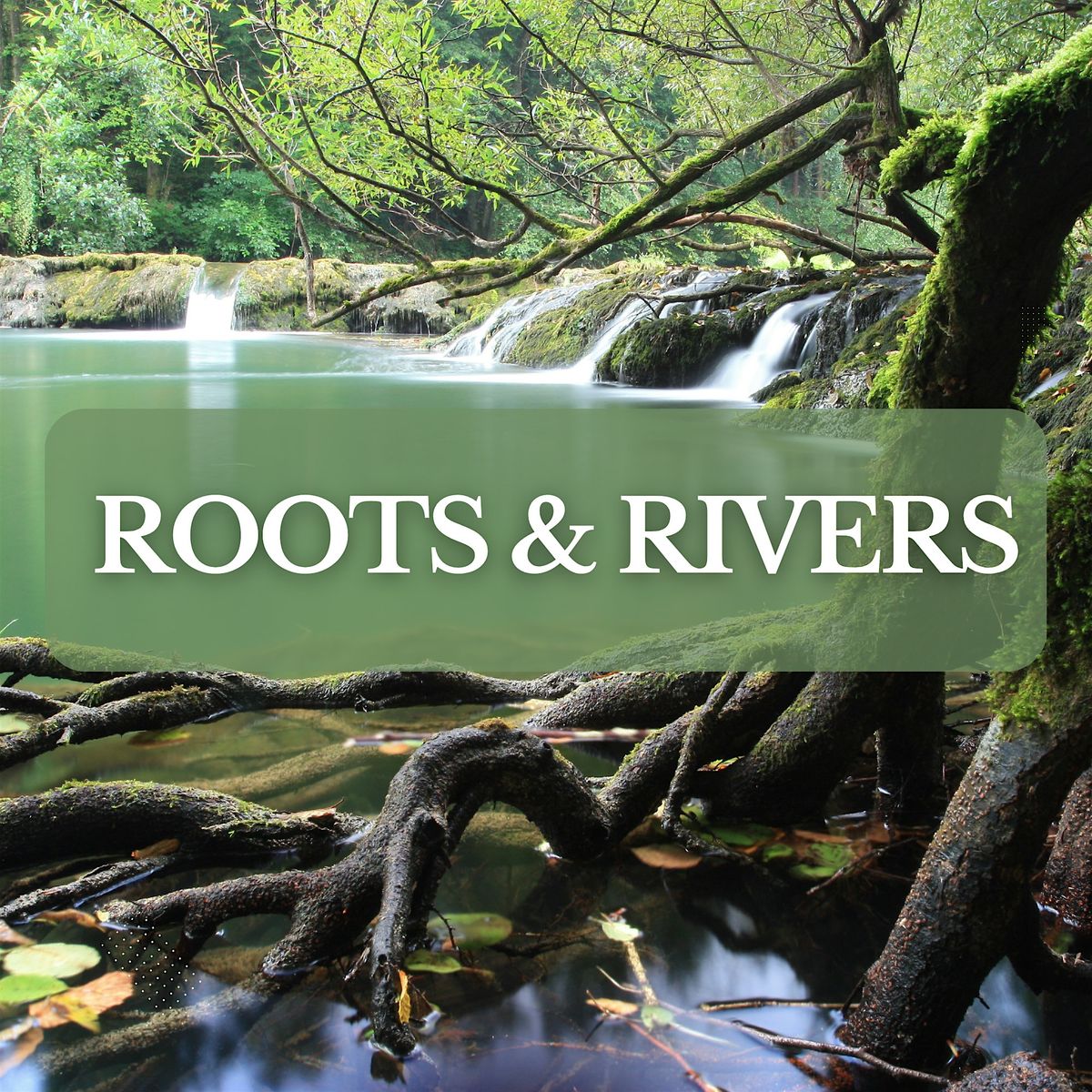Roots & Rivers:  Alchemy Monthly Healing Circle -  Bring a friend for FREE!