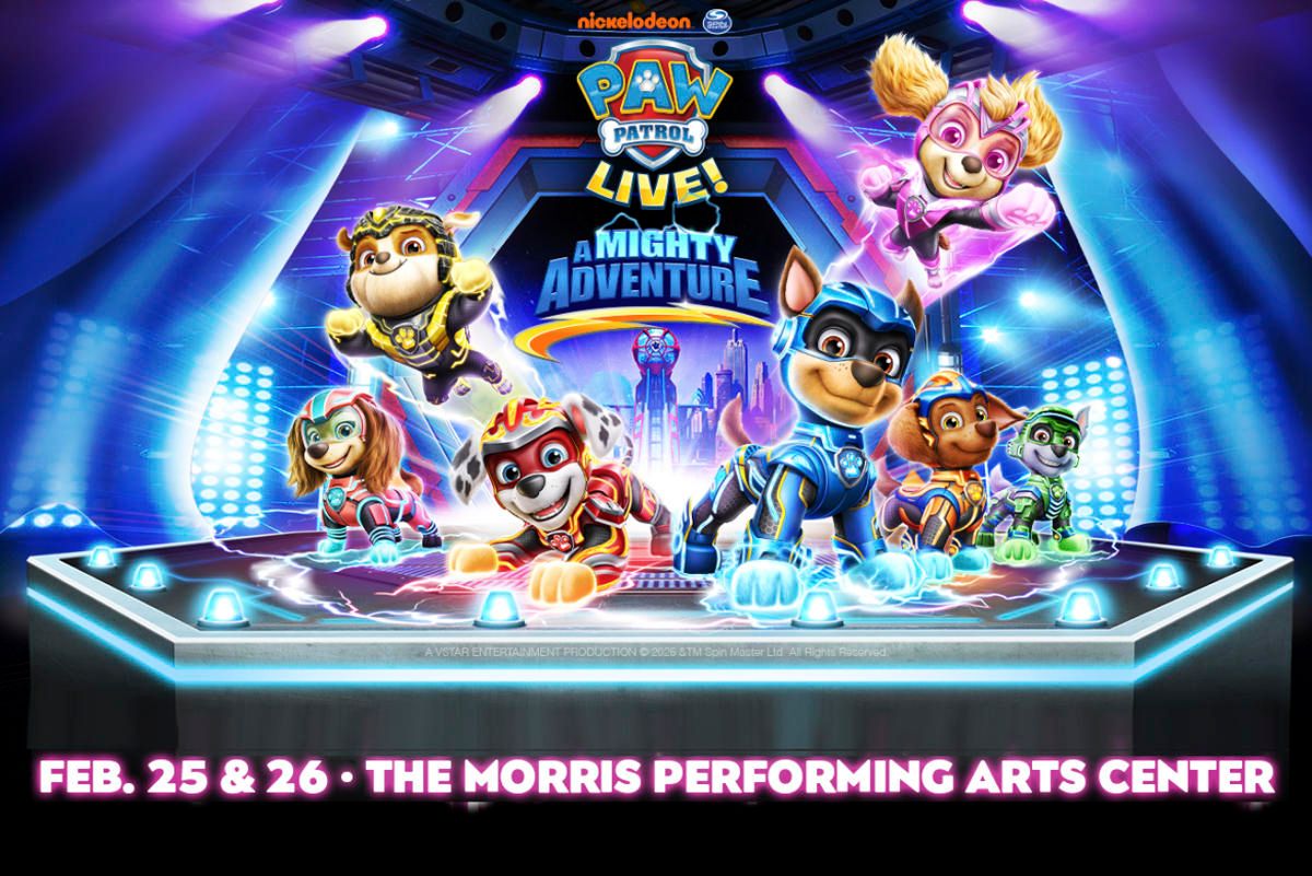 Paw Patrol Live! - South Bend