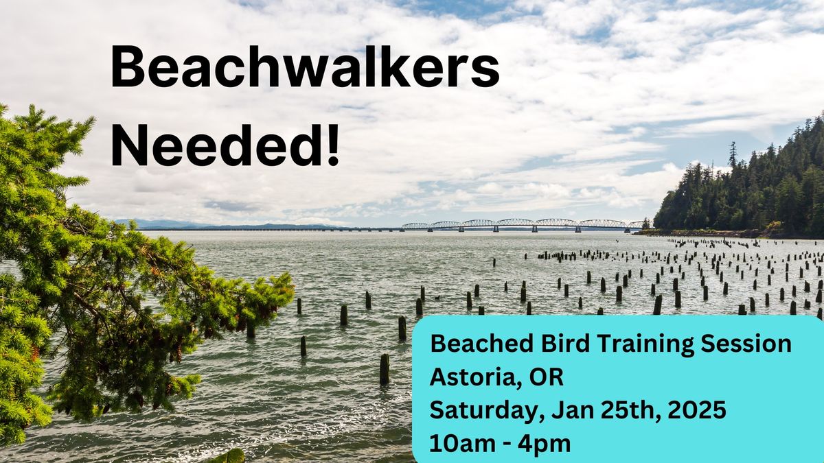 Astoria Beached Bird Training