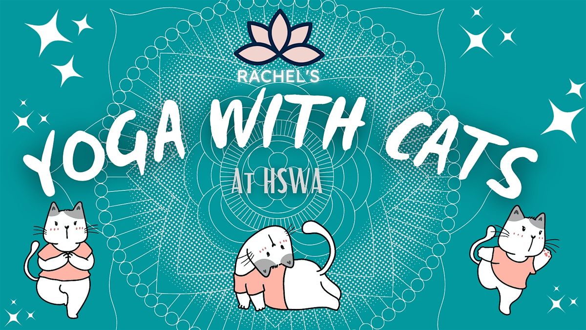 Yoga with Cats