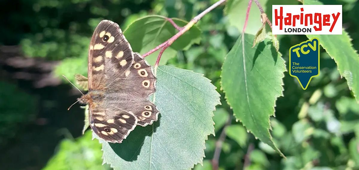 Butterfly Identification Workshop - Muswell Hill Playing Fields