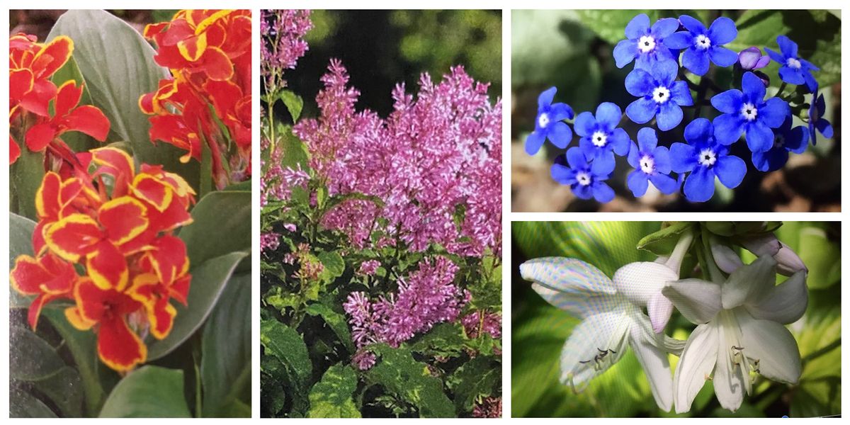 Whats New in Plants for 2022, The Botanic Garden at Historic Barns Park