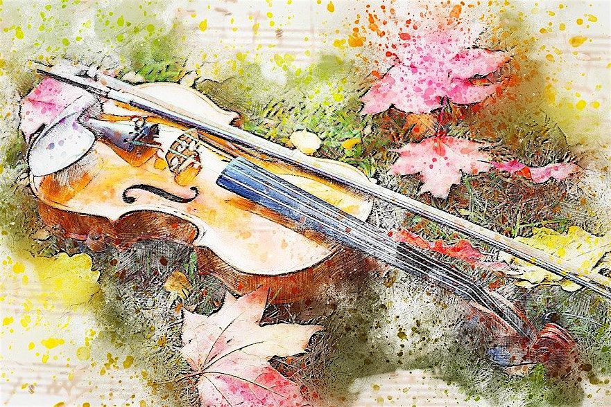 The Vibrant Violin  - An Interactive Concert for Kids