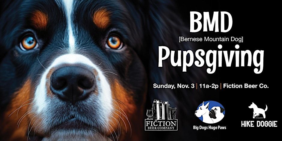 Bernese Mountain Dog Pupsgiving - Fundraiser - Free w\/ Eventbrite TX