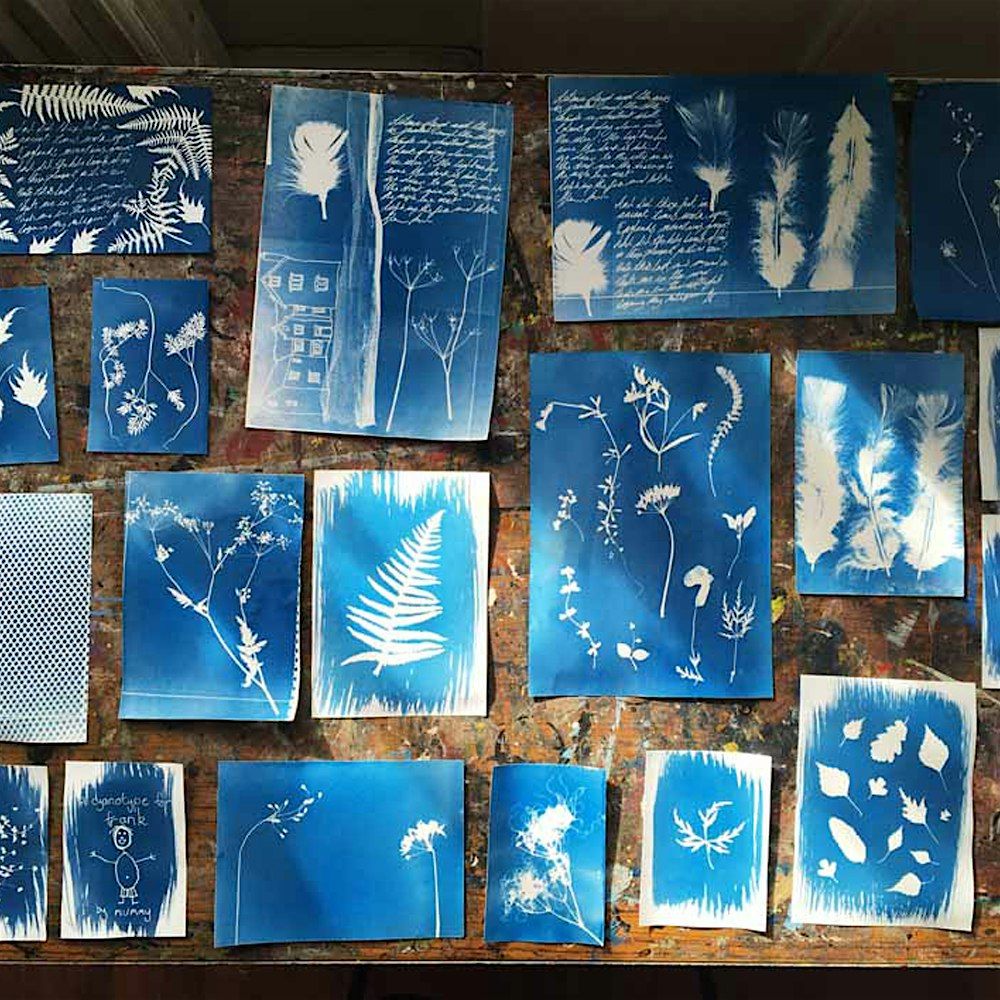 Making Art with the Sun - A Cyanotype workshop